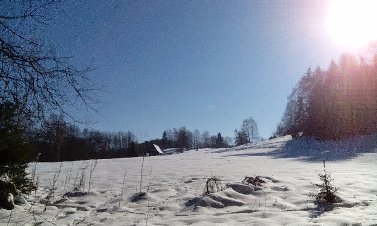 Vlčí hora