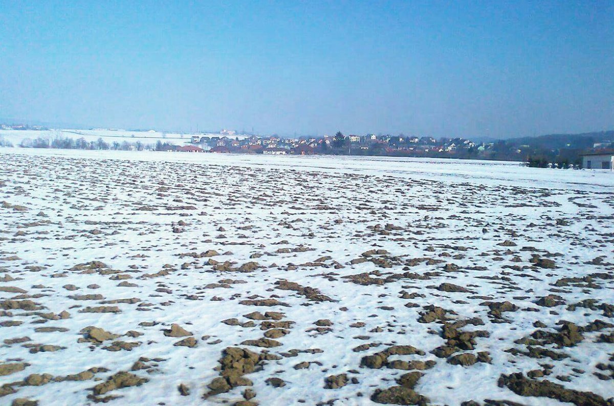 Stařeč