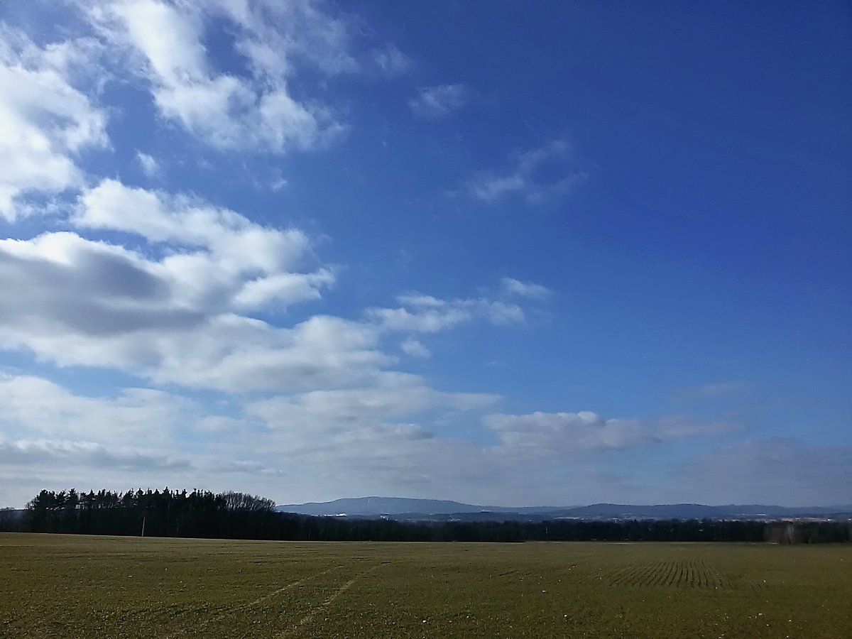 Vidov