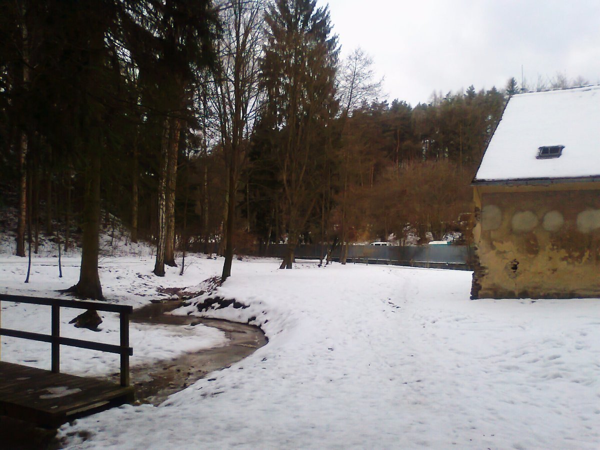 Borovina