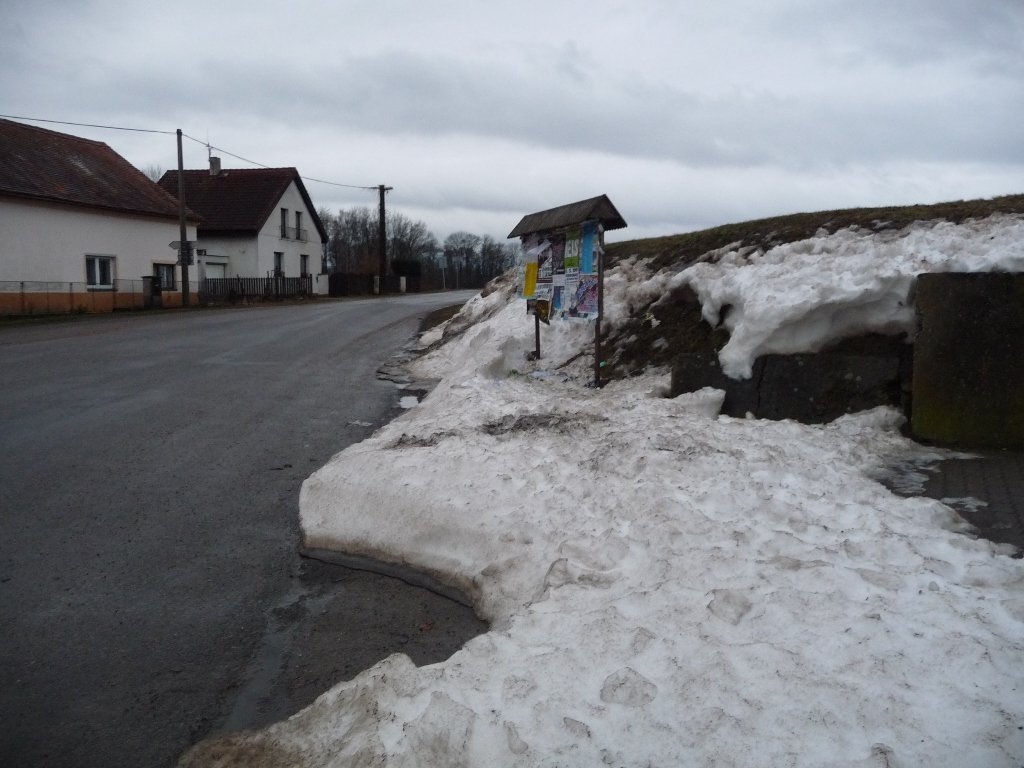 Třibřichy