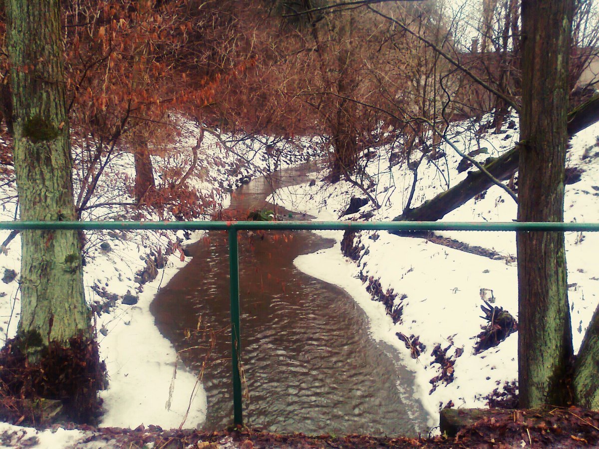 Borovina