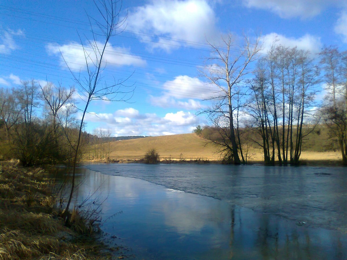 Borovina
