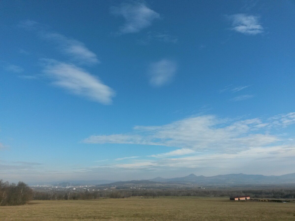 Osek