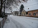 Třibřichy