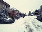 Borovina