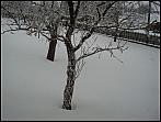 Rokytnice nad Rokytnou