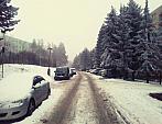 Borovina