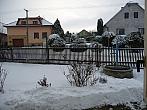 Třibřichy