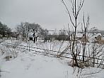 Borovina