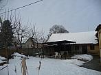 Třibřichy