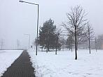 Hodonín