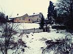 Borovina