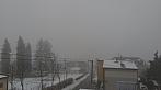 Tachov