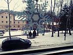 Borovina