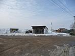 Třibřichy