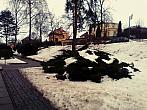 Borovina