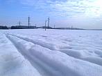 Borovina