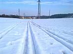 Borovina