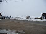 Třibřichy