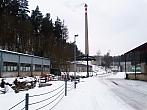 Borovina