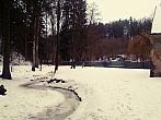 Borovina