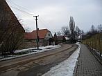 Třibřichy