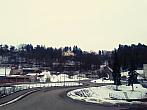 Borovina