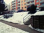 Borovina