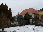Třibřichy