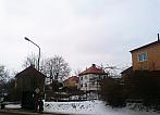 Borovina