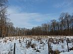 Dětenice-Brodek