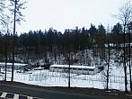 Borovina