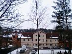 Borovina