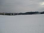 Borovina