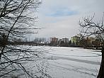 Borovina