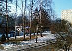 Borovina