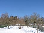 Jirkov