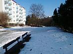 Borovina