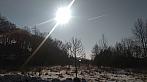 Tachov