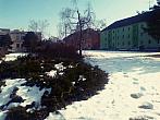 Borovina