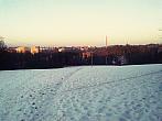 Borovina
