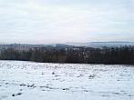 Borovina