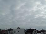 Hořice - Libonice