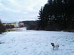 Borovina