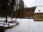 Borovina