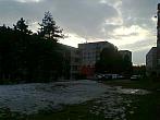 Borovina