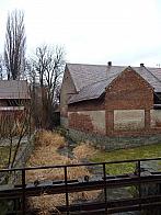 Třibřichy