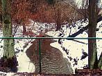 Borovina