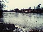 Borovina